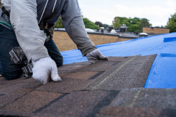 Best Local Roofing Companies  in Remerton, GA