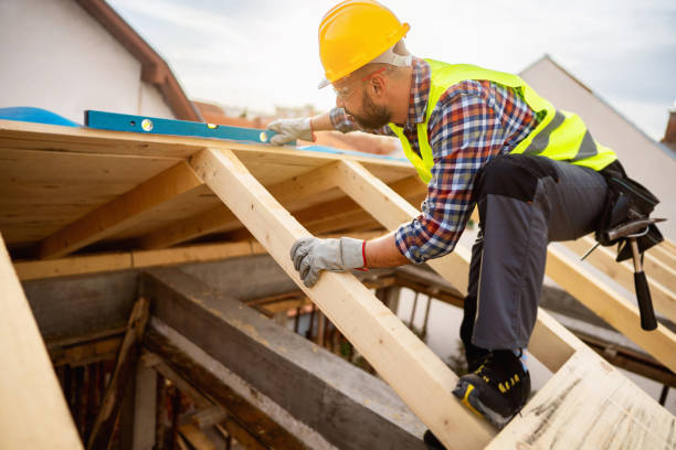 Professional Roofing Contractor in Remerton, GA