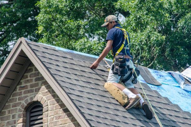 Roof Repair Estimates in Remerton, GA